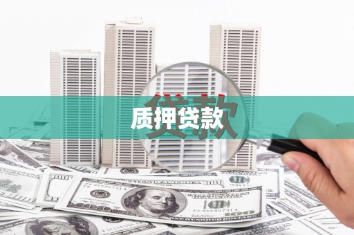 延平质押贷款