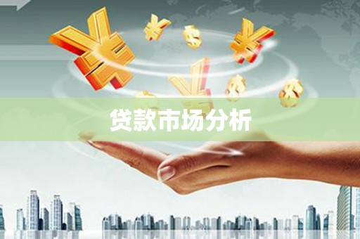 延平贷款市场分析
