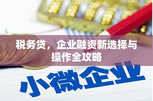 延平税务贷，企业融资新选择与操作全攻略