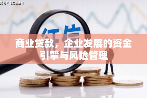 延平商业贷款，企业发展的资金引擎与风险管理