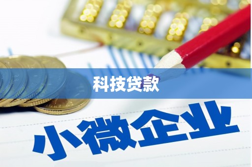 延平科技贷款