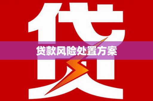 延平贷款风险处置方案