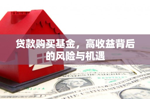延平贷款购买基金，高收益背后的风险与机遇