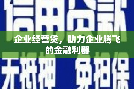 延平企业经营贷，助力企业腾飞的金融利器