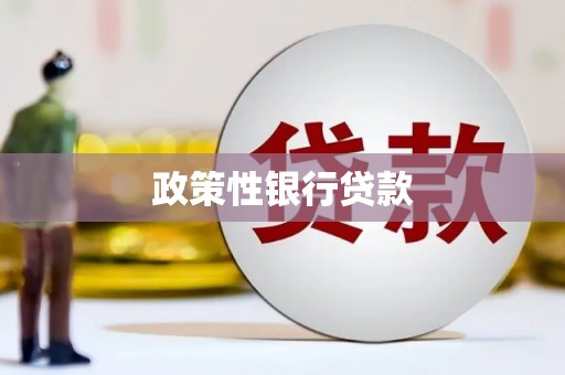 延平政策性银行贷款