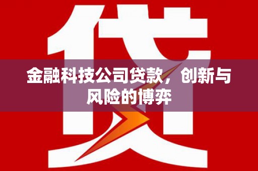延平金融科技公司贷款，创新与风险的博弈