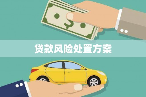 延平贷款风险处置方案