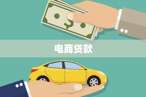 延平电商贷款