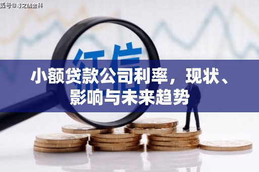 延平小额贷款公司利率，现状、影响与未来趋势