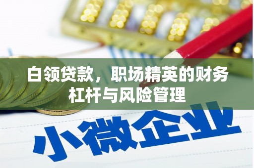 延平白领贷款，职场精英的财务杠杆与风险管理