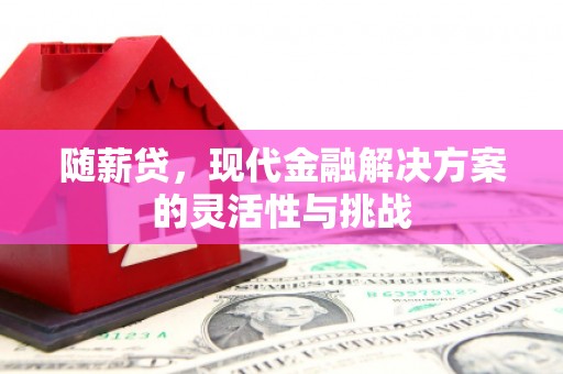 延平随薪贷，现代金融解决方案的灵活性与挑战