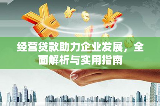 延平经营贷款助力企业发展，全面解析与实用指南