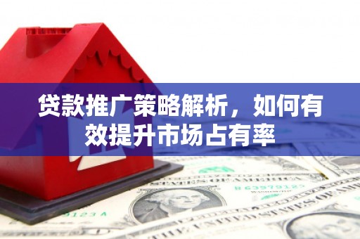 延平贷款推广策略解析，如何有效提升市场占有率