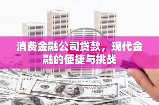 延平消费金融公司贷款，现代金融的便捷与挑战