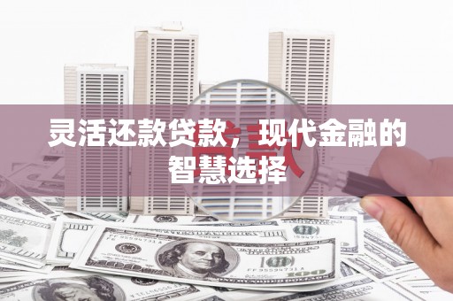 延平灵活还款贷款，现代金融的智慧选择
