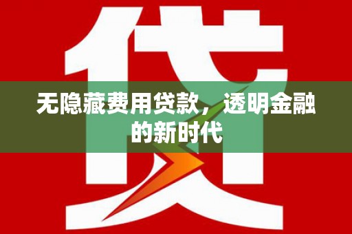 延平无隐藏费用贷款，透明金融的新时代