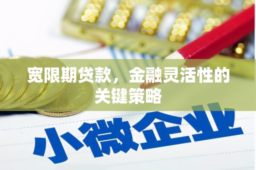 延平宽限期贷款，金融灵活性的关键策略