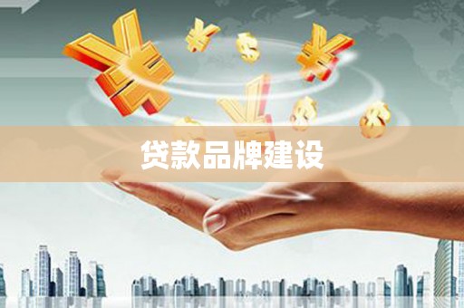 延平贷款品牌建设