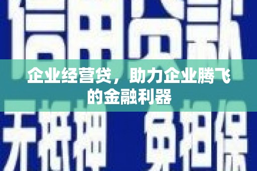 延平企业经营贷，助力企业腾飞的金融利器