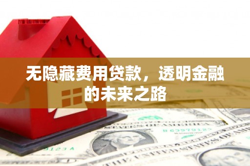 延平无隐藏费用贷款，透明金融的未来之路