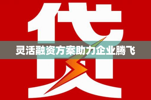 延平灵活融资方案助力企业腾飞