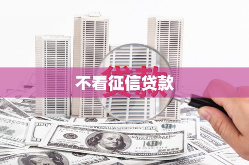 延平不看征信贷款