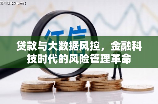 延平贷款与大数据风控，金融科技时代的风险管理革命