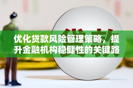 延平优化贷款风险管理策略，提升金融机构稳健性的关键路径