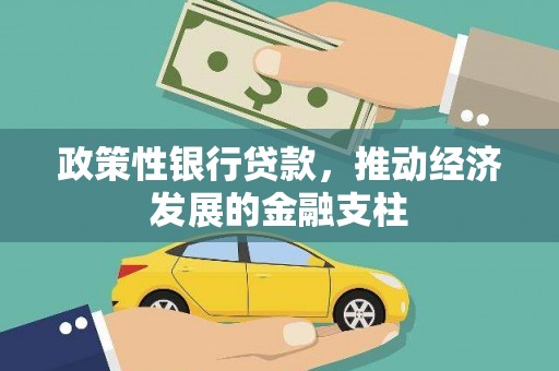 延平政策性银行贷款，推动经济发展的金融支柱