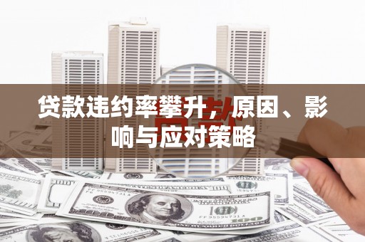 延平贷款违约率攀升，原因、影响与应对策略
