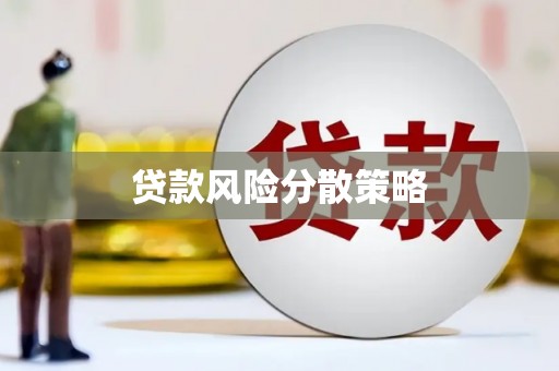延平贷款风险分散策略