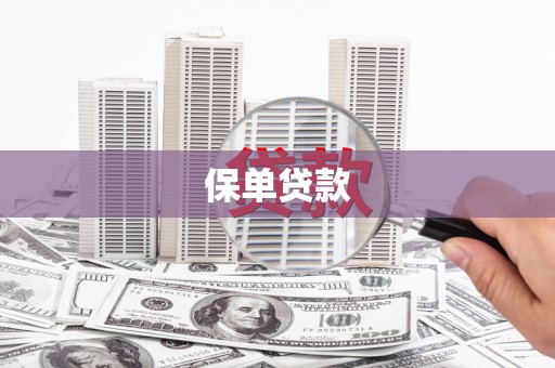 延平保单贷款