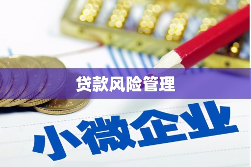 延平贷款风险管理