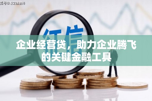 延平企业经营贷，助力企业腾飞的关键金融工具