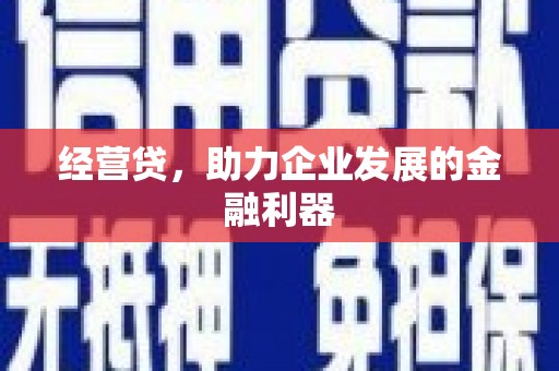延平经营贷，助力企业发展的金融利器
