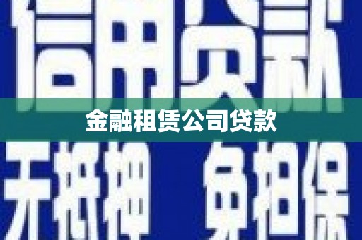 延平金融租赁公司贷款