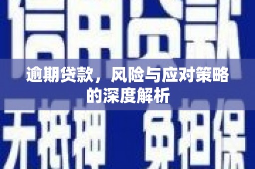 延平逾期贷款，风险与应对策略的深度解析