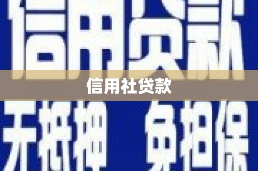 延平信用社贷款
