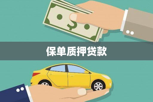 延平保单质押贷款