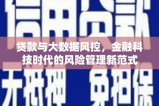 延平贷款与大数据风控，金融科技时代的风险管理新范式