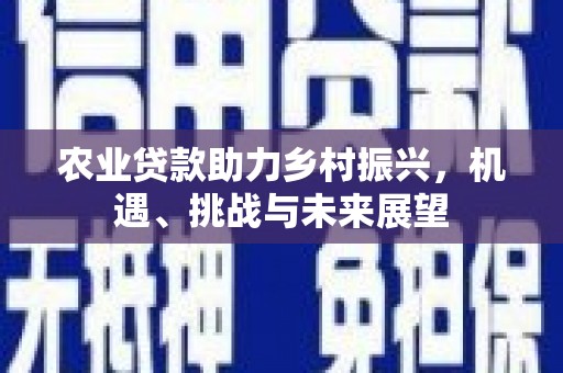 延平农业贷款助力乡村振兴，机遇、挑战与未来展望
