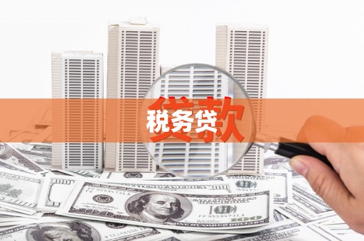 延平税务贷
