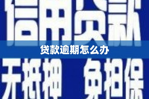 延平贷款逾期怎么办