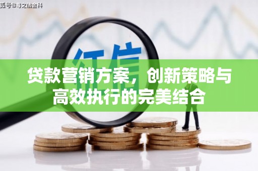 延平贷款营销方案，创新策略与高效执行的完美结合