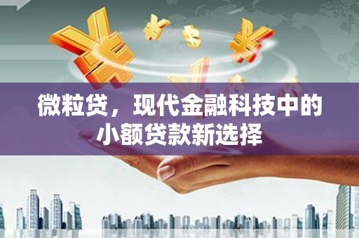 延平微粒贷，现代金融科技中的小额贷款新选择