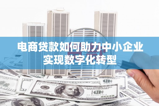 延平电商贷款如何助力中小企业实现数字化转型