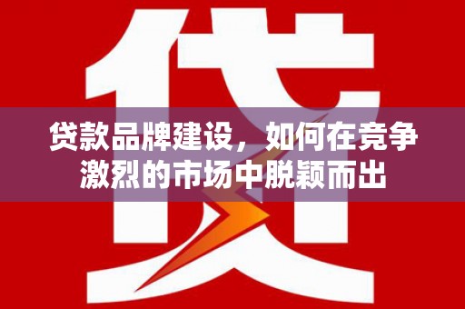 延平贷款品牌建设，如何在竞争激烈的市场中脱颖而出
