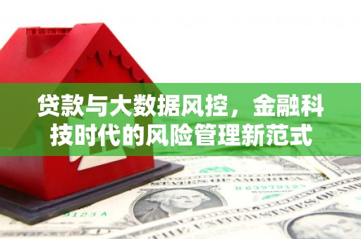 延平贷款与大数据风控，金融科技时代的风险管理新范式