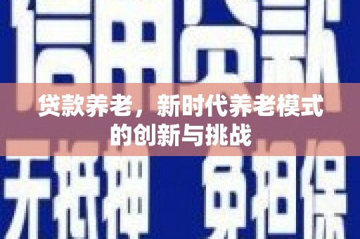 延平贷款养老，新时代养老模式的创新与挑战
