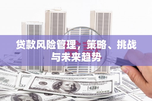 延平贷款风险管理，策略、挑战与未来趋势